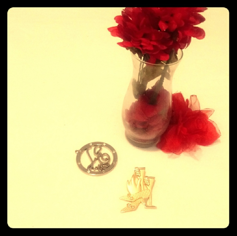 Classy Beautiful Broach Add this Accessory to your